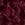Womens Pearl Borg Hooded Jacket - 